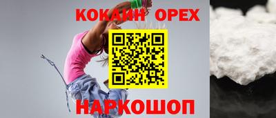 индика Можга