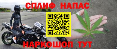 индика Можга